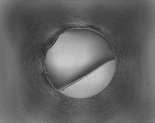 X0000051911205200506241054