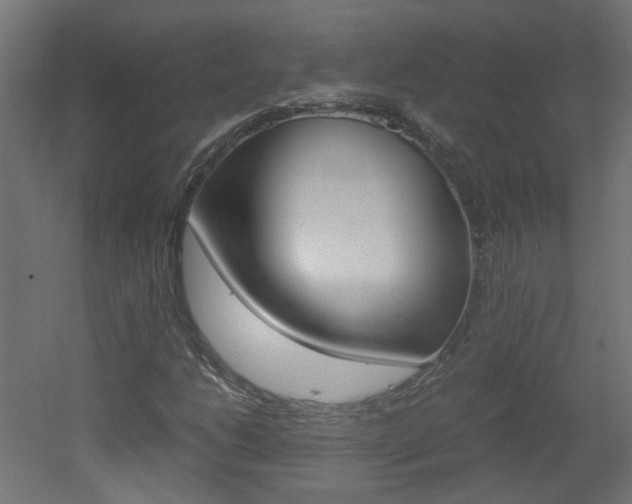 X0000051911206200506241054