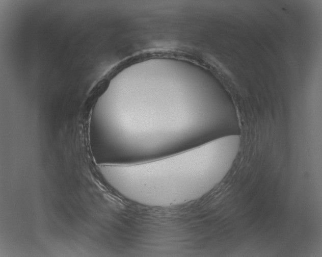X0000051911208200506241054