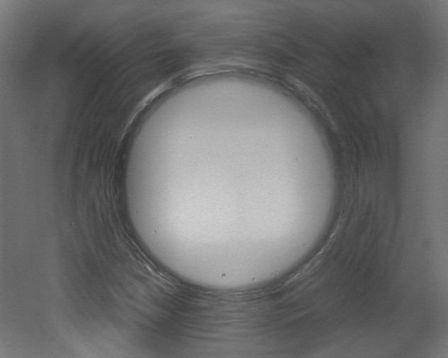 X0000051911210200506241054
