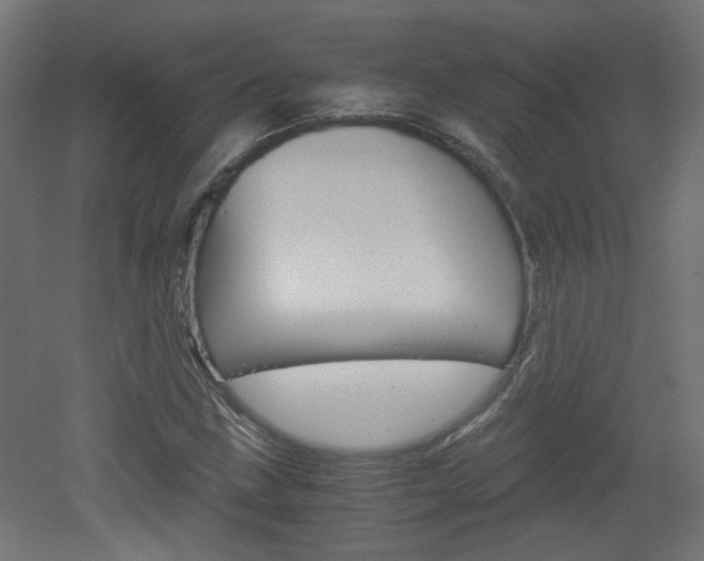 X0000051911211200506241054