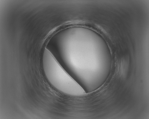 X0000051911213200506241054