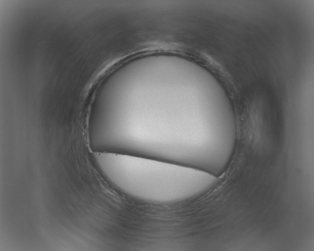 X0000051911215200506241054