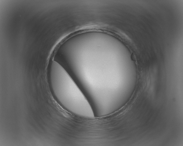 X0000051911216200506241054