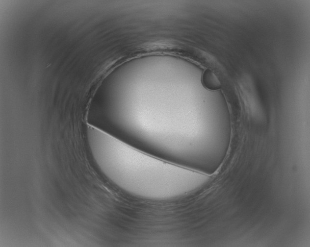 X0000051911217200506241054