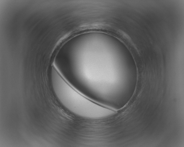 X0000051911218200506241054