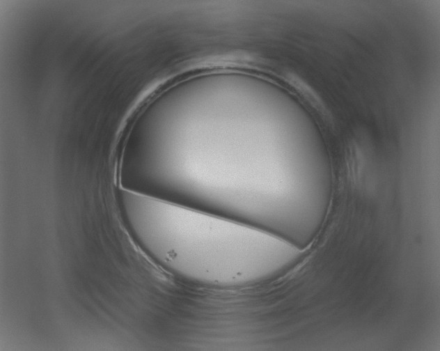 X0000051911224200506241054