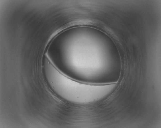 X0000051911226200506241054