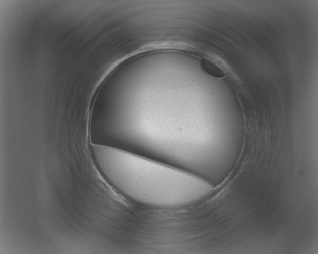 X0000051911228200506241054