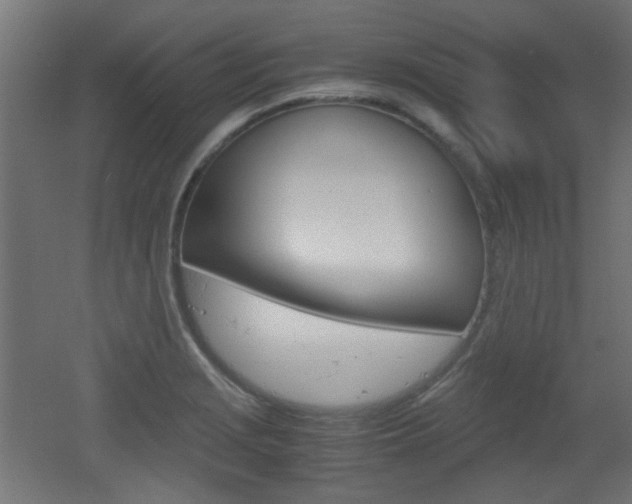 X0000051911229200506241054