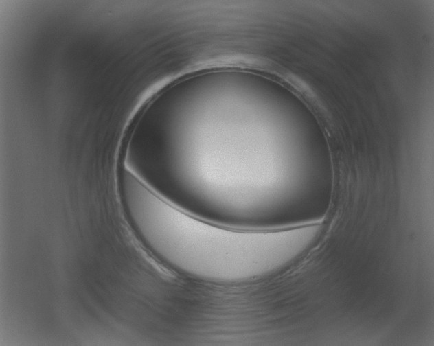 X0000051911230200506241054