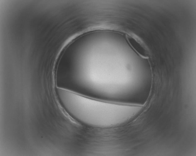 X0000051911238200506241055