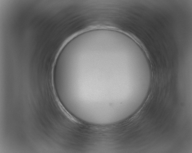 X0000051911246200506241055