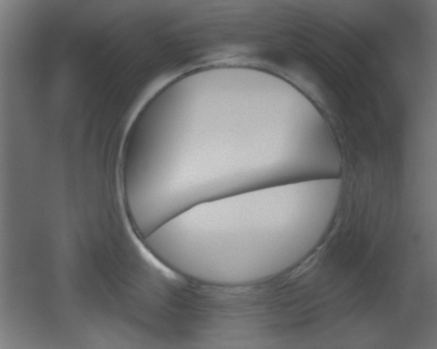 X0000051911247200506241055
