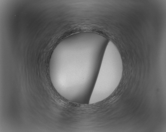 X0000051911249200506241054