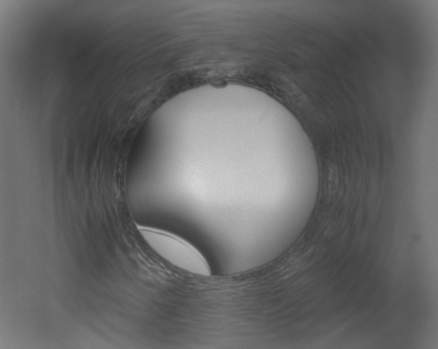 X0000051911250200506241054