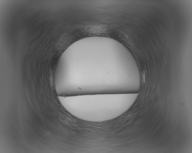 X0000051911251200506241054