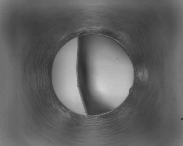 X0000051911252200506241054