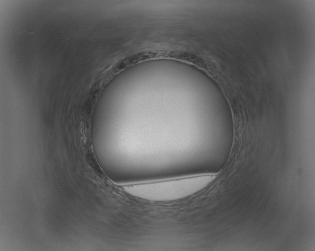 X0000051911253200506241054