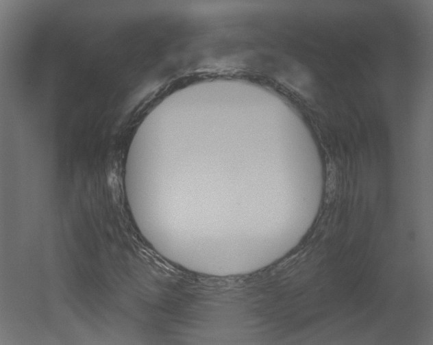 X0000051911254200506241054