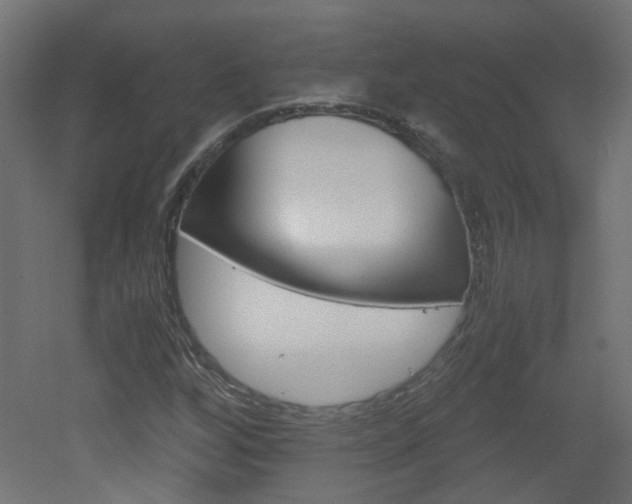X0000051911256200506241054