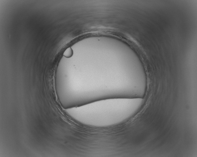 X0000051911259200506241054