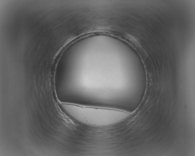 X0000051911260200506241054