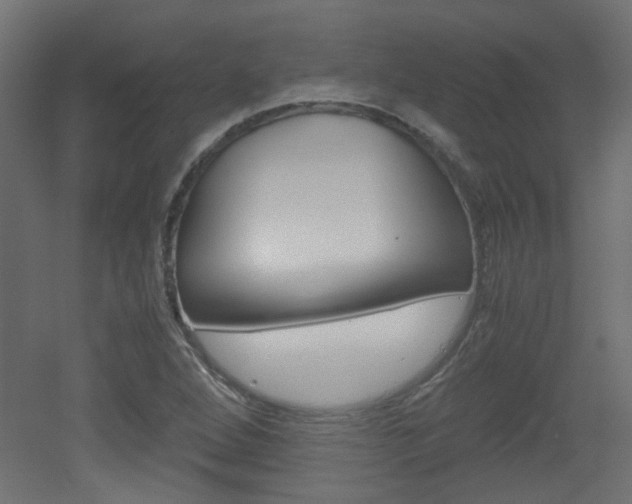 X0000051911264200506241054