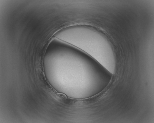 X0000051911265200506241054