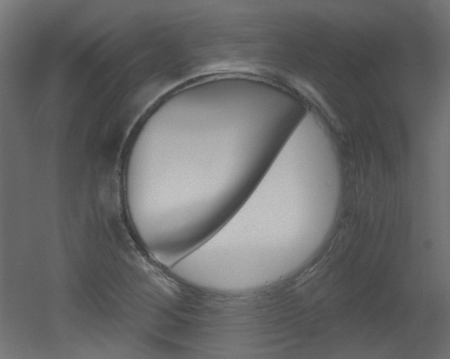 X0000051911268200506241054