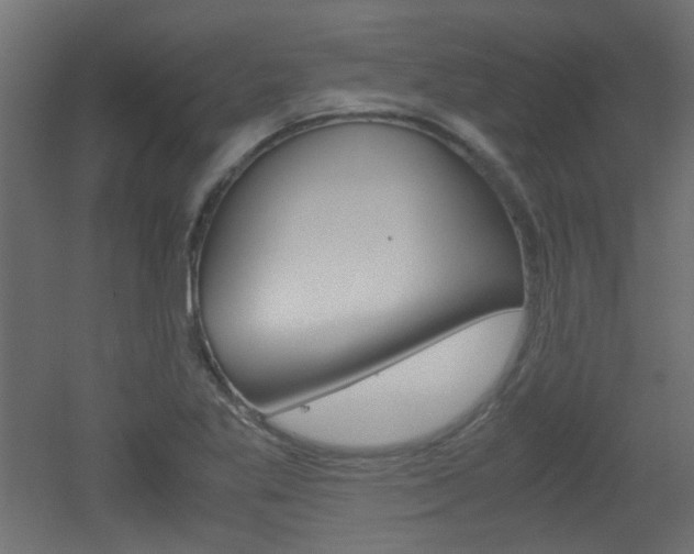 X0000051911269200506241054