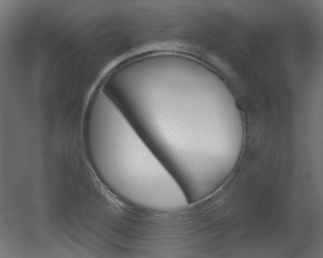 X0000051911272200506241054
