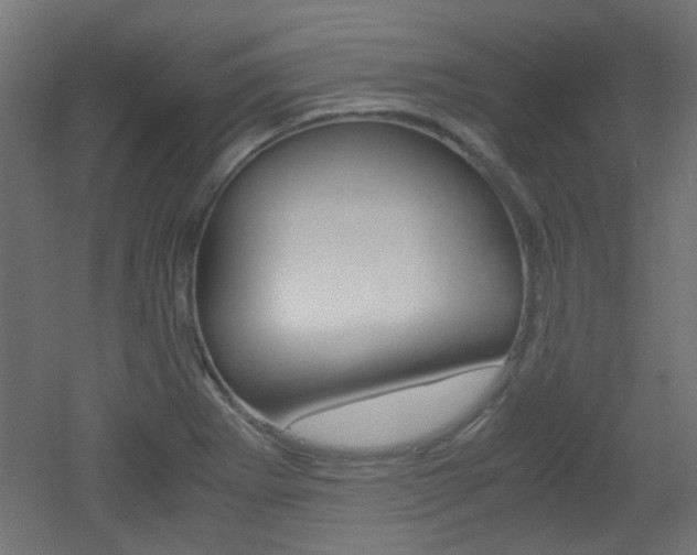 X0000051911273200506241054