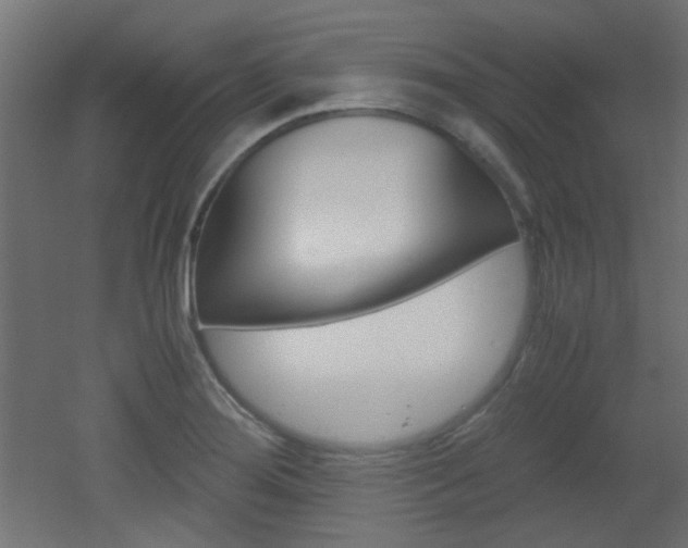 X0000051911276200506241054