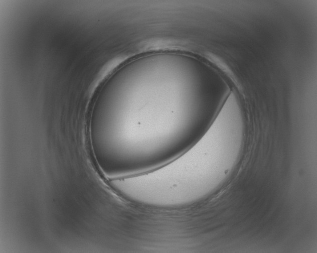 X0000051911277200506241053