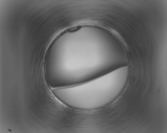 X0000051911288200506241053