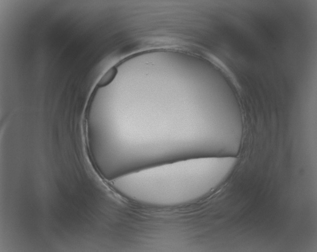 X0000051911291200506241053