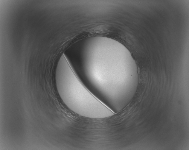 X0000051911297200506241052