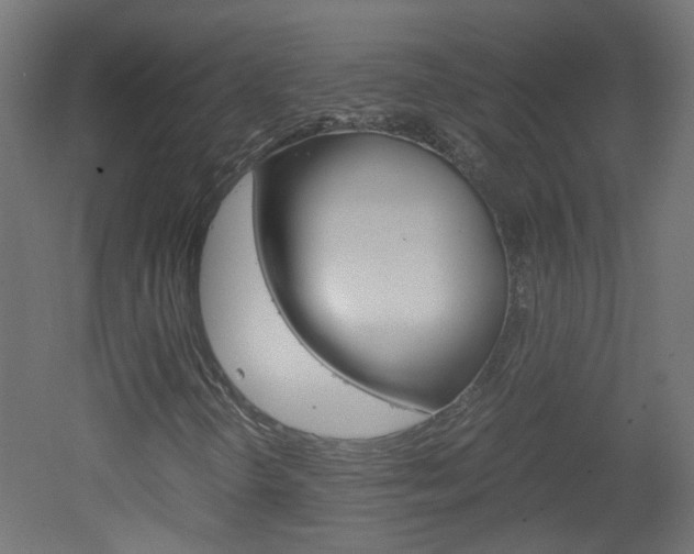 X0000051911298200506241052
