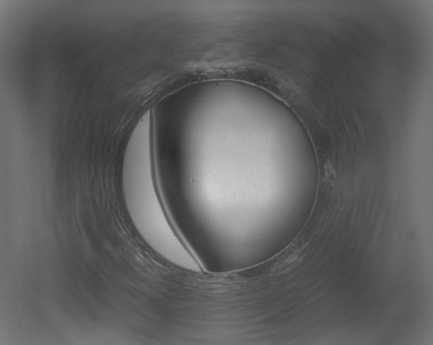 X0000051911300200506241052