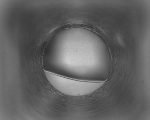 X0000051911303200506241052