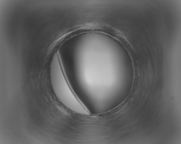 X0000051911304200506241052