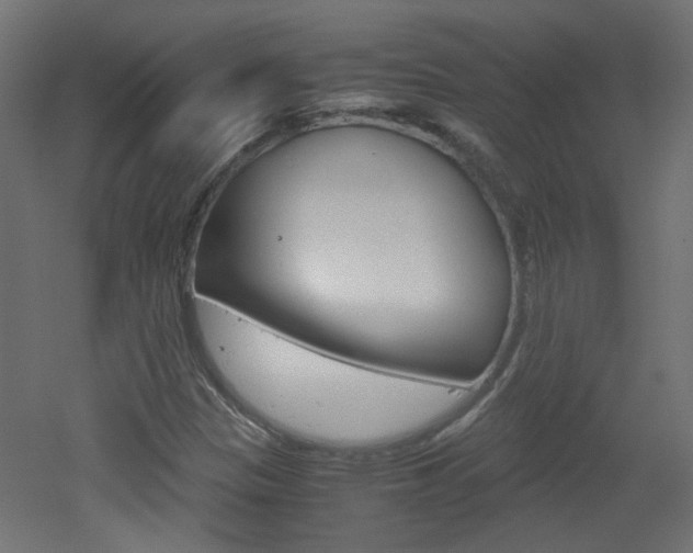 X0000051911305200506241052