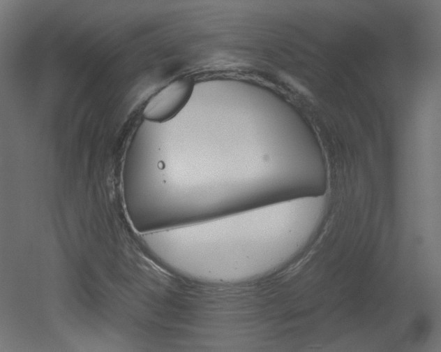 X0000051911306200506241053
