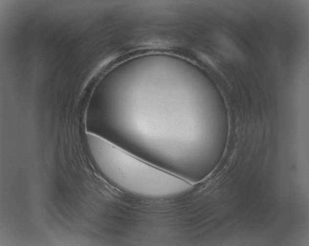 X0000051911307200506241053