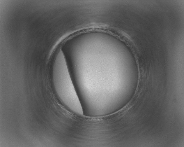 X0000051911310200506241053