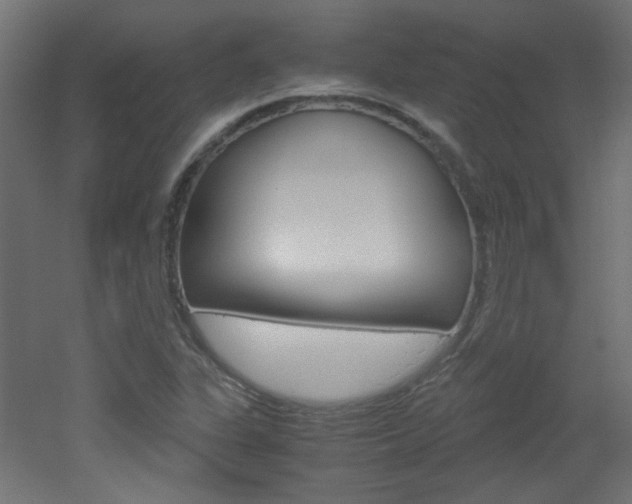 X0000051911311200506241053