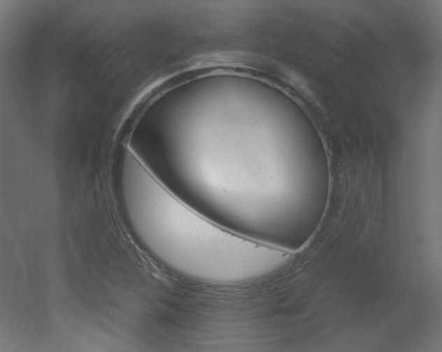 X0000051911312200506241053