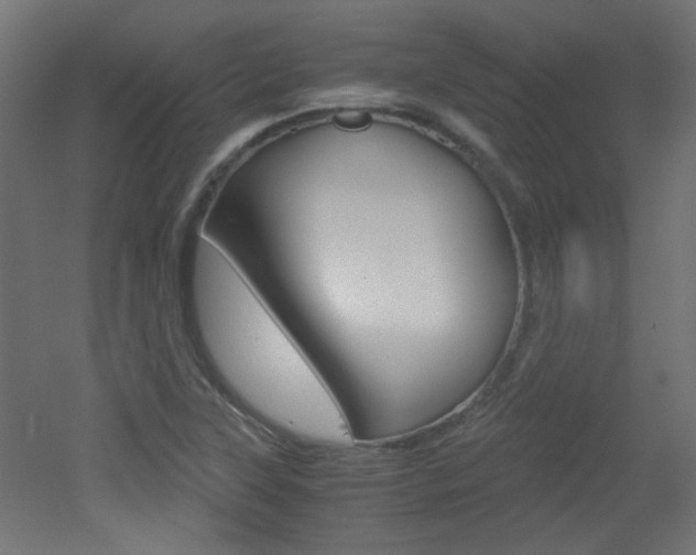X0000051911315200506241053
