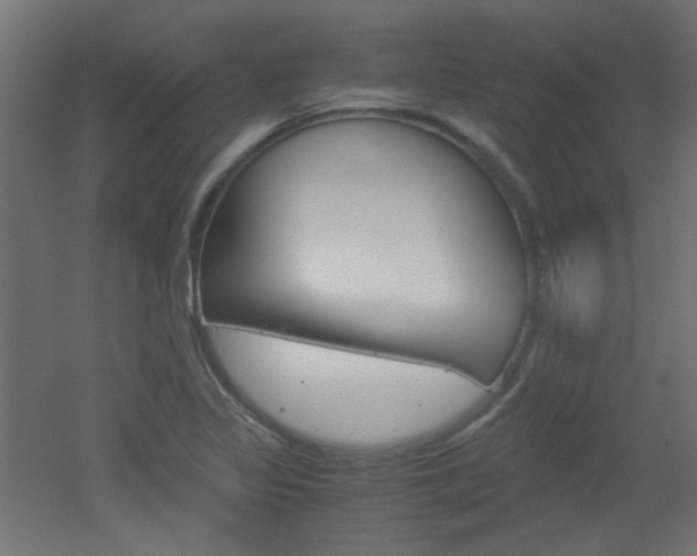 X0000051911317200506241053